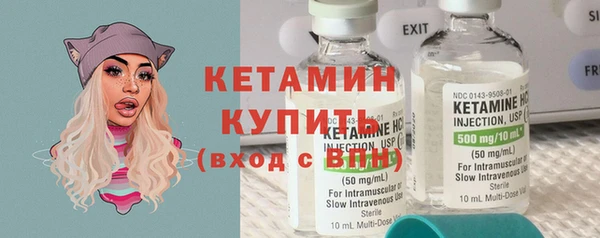 прущие грибы Бородино