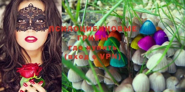 PSILOCYBIN Верхний Тагил