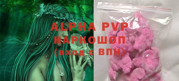 прущие грибы Бородино