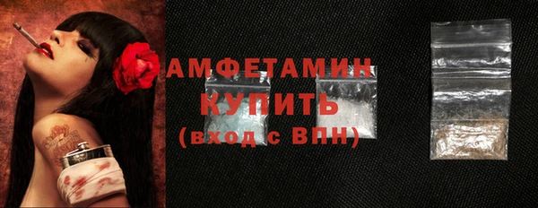 прущие грибы Бородино