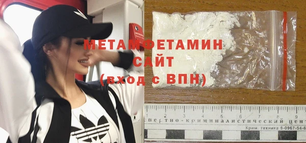 прущие грибы Бородино