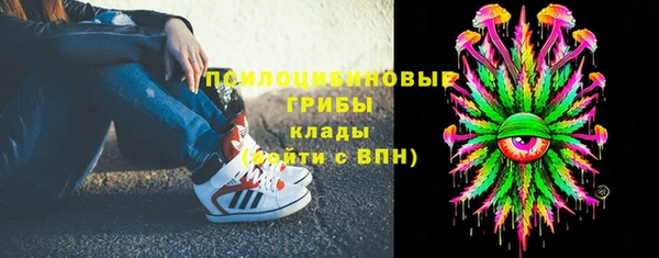 дмт Бронницы
