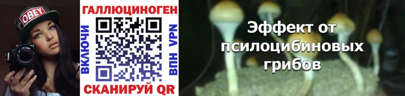 цены   Чебоксары  Псилоцибиновые грибы мицелий 
